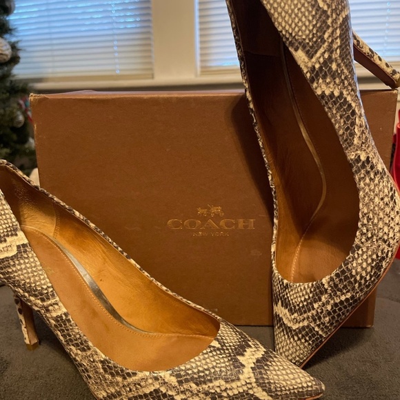 Coach heels Teddie Soft Printed Snake with box see photo - Picture 1 of 5